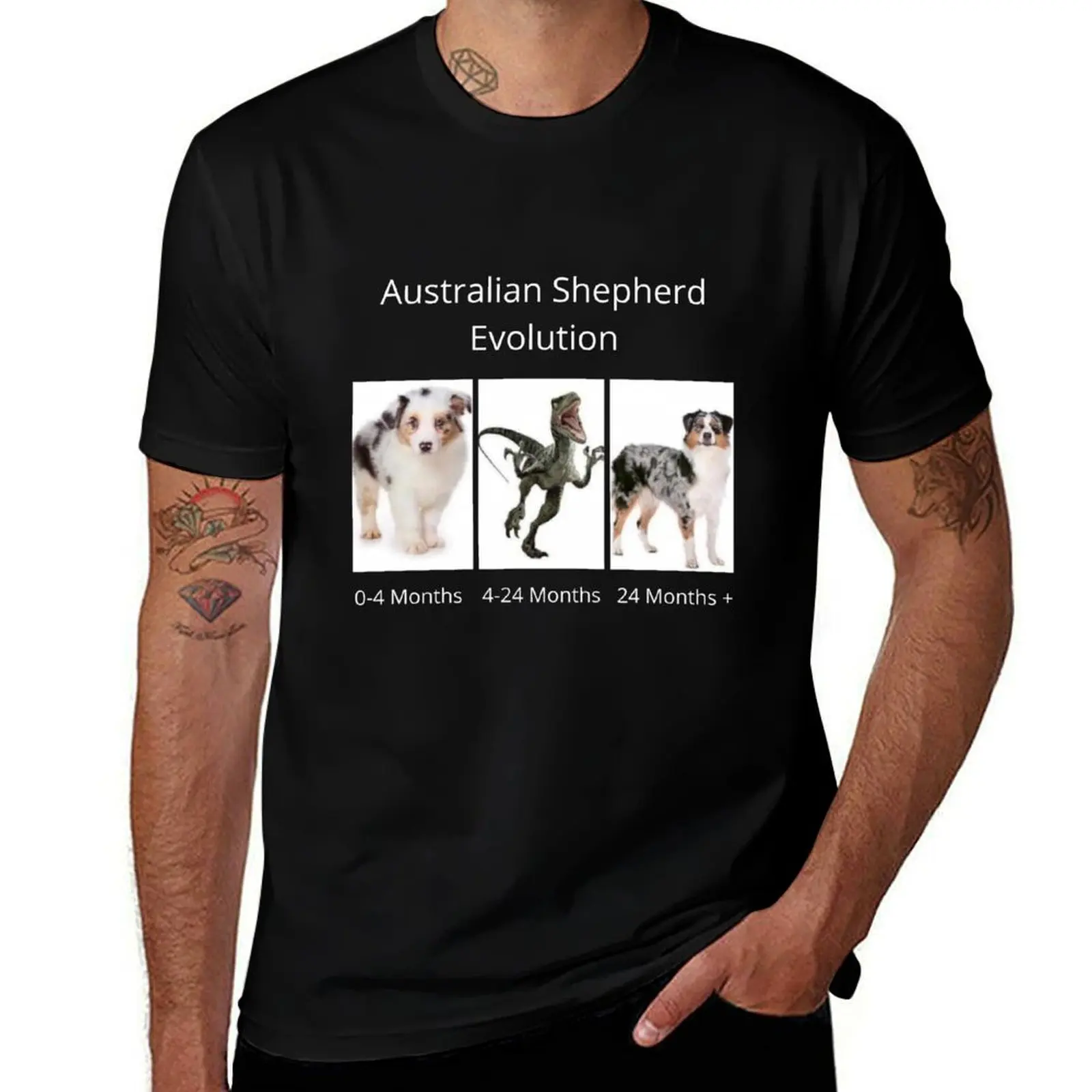Australian Shepherd Evolution T-Shirt Casual Breathable Short Sleeve Top T-Shirt