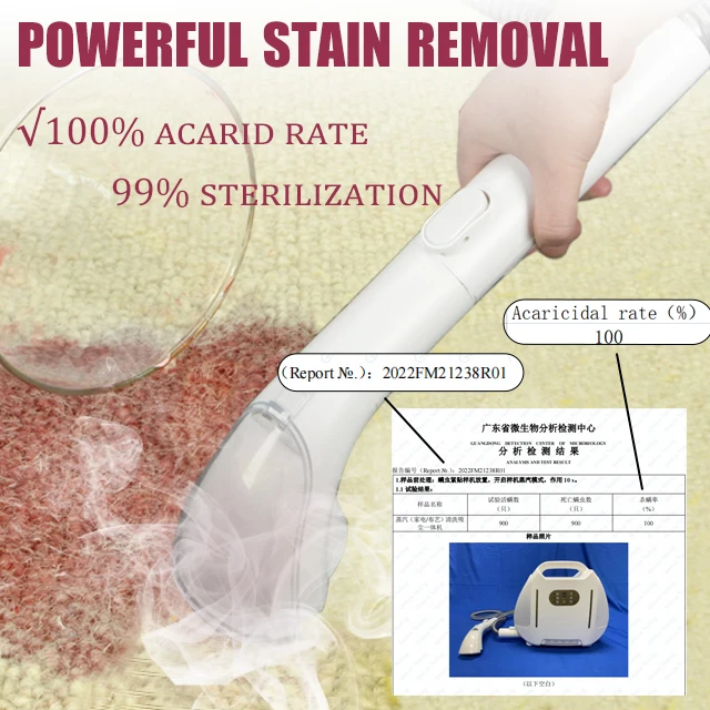 Professional Customization Mini Vaccum Cleaner For Car Carpet Floor Window Steam Cleaner Portable