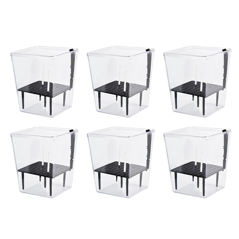

AA21-Self Watering Pots Set, 6 Pack 5 Inch Self Watering Pots For Indoor Plants, Clear Planter Pot With Deep For Spider Plant