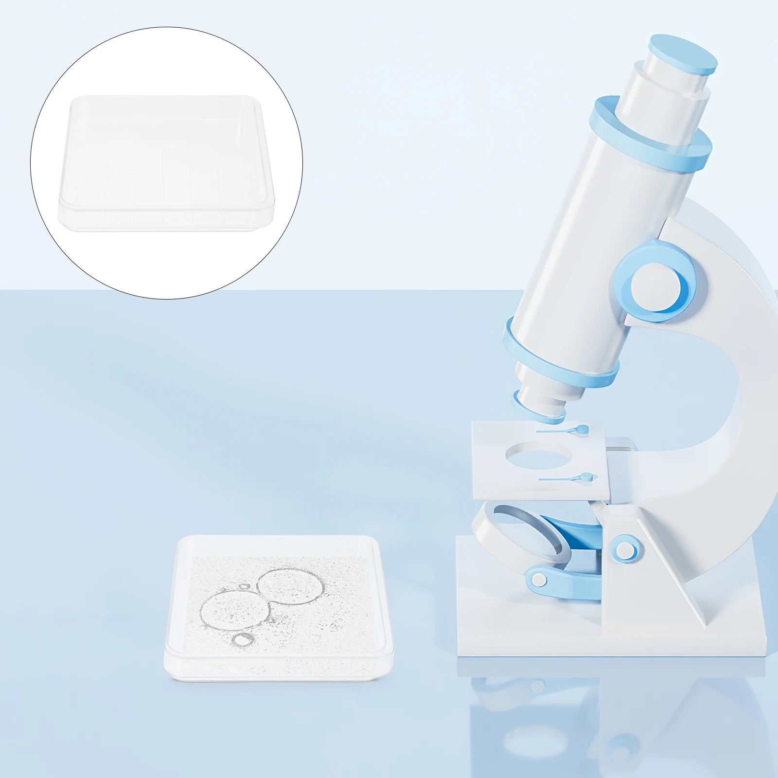 10 Sets Square Petri Dish Culture Polystyrene Material Laboratory Plate Clear Dishes with Lids Sterile Round