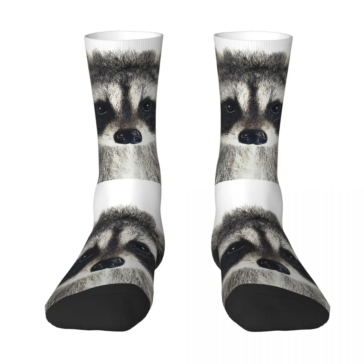 Baby Raccoon Raccoon Unisex Winter Socks Running Happy Socks Street Style Crazy Sock