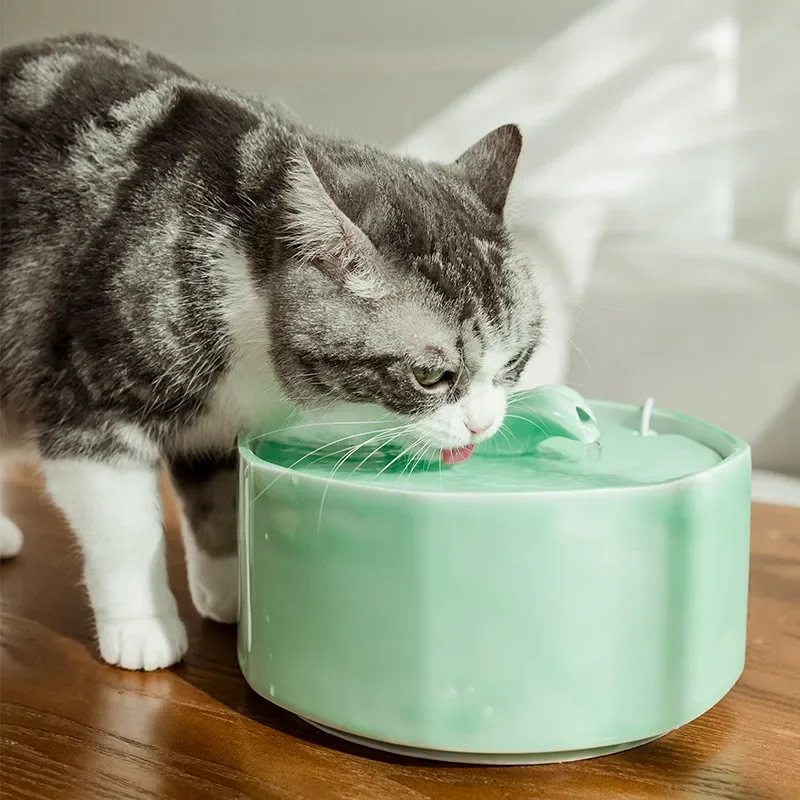 

Auto Pet Water Fountain Drinker for Cats and Dog,Ceramic Cat Drinking Bowl,Pet Water Dispenser,2L Cat Fountain Indoor Decor MUTE