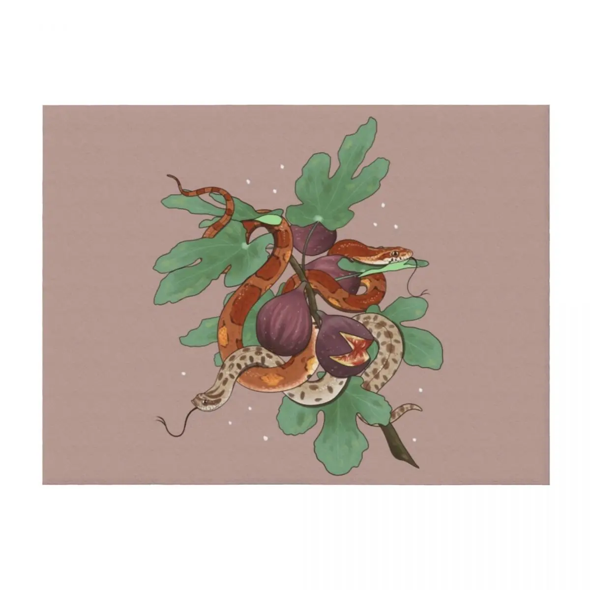 

Corn Snake and Hognose Snake with Figs Throw Blanket Plaid on the sofa warm for winter Large Furrys Blankets
