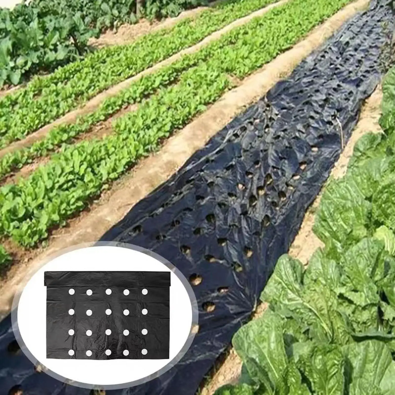 

Садовая овощная мульч-пленка, сохраняющая тепло, 5 отверстий, фермерская теплица, черная полиэтиленовая мульч-пленка, садовый коврик для сельскохозяйственной овощной фермы