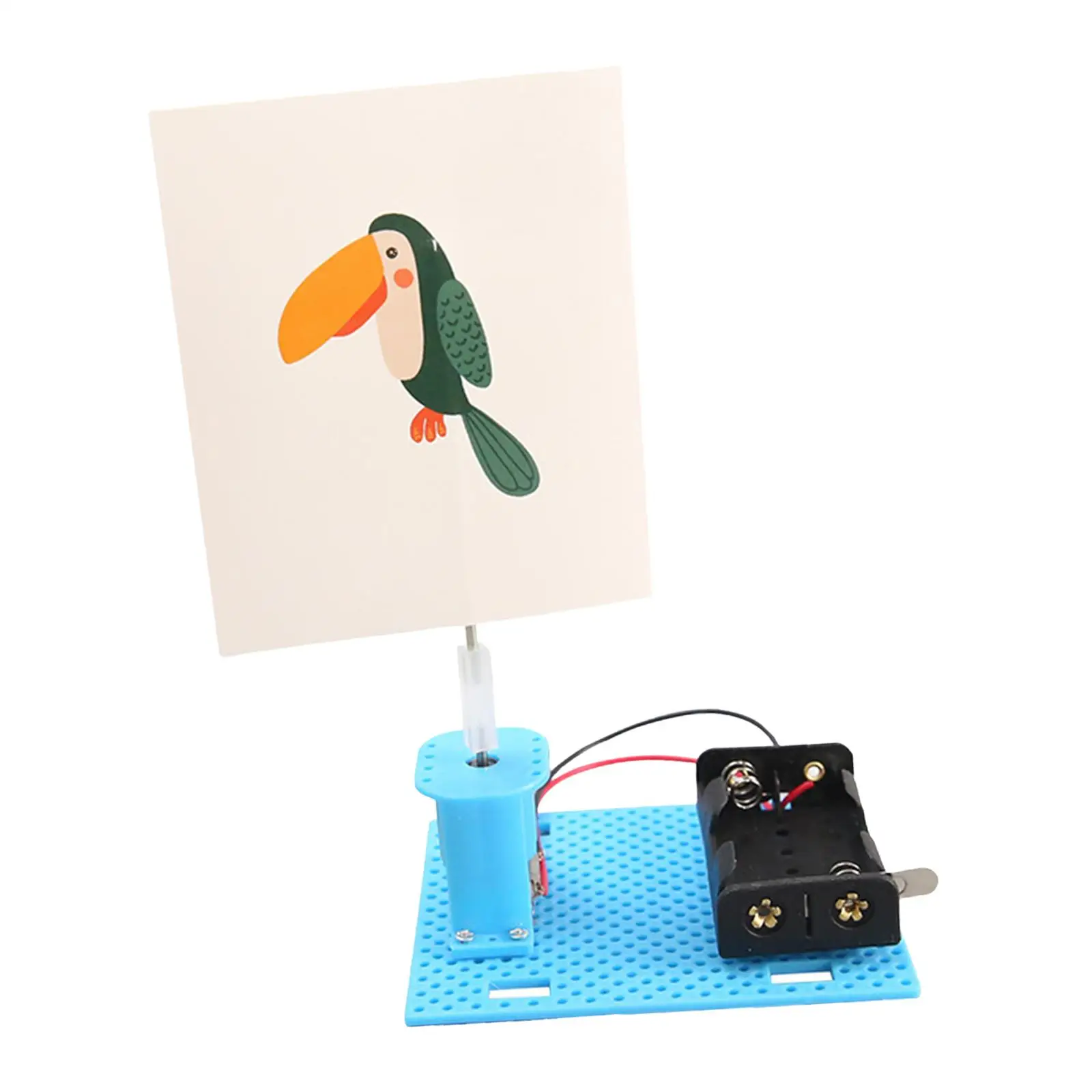 Electric Cage Bird Developing Intelligent Exercising DIY Science Experiments