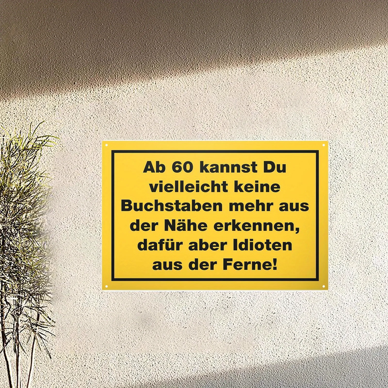 Wandschild mit deutschem humorvollem Zitat zum 60. Geburtstag, Metallschild im europäischen Stil, lustiges Geschenk für die Dekoration der 60. Geburtstagsfeier