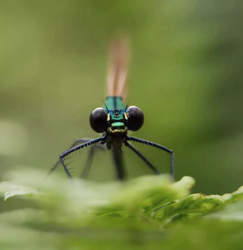 wysyłka (tylko wyślij produkty, które mają negocjację z kupującymi. )