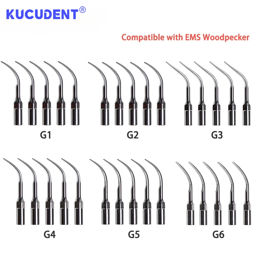 5 Pcs Dental Ultrasonic Piezo Scaler Tips Fit For EMS Woodpecker Handpiece Endodontics Periodontics Scaling Tool Dentistry