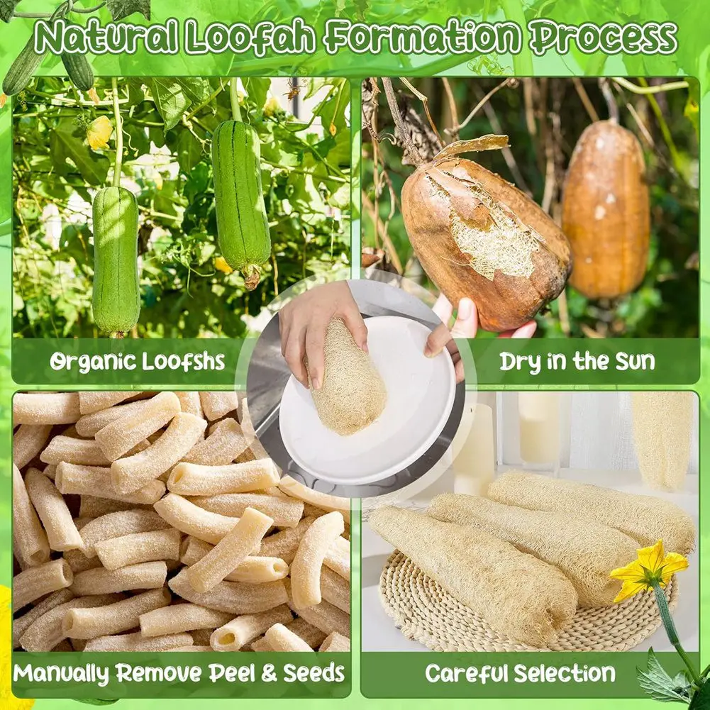 GTBL 6Pack Natural Loofah Sponges Biodegradable Luffa Cleaning For Kitchen Dishes Body Scrubber For Men Women Adults SPA Beauty