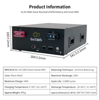 Expandable Energy 48V100Ah LiFePO4 Stack + Parallel Cable Kit Combine Up to 16 Units Large Capacity ESS Off-Grid No Customs Tax