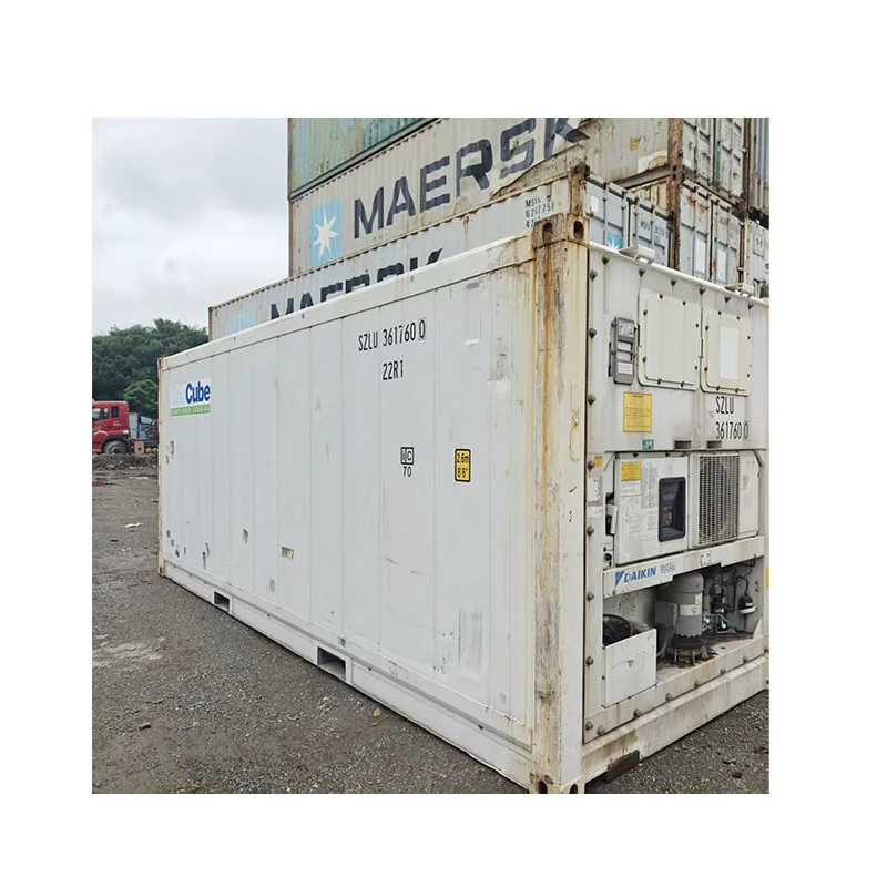 Block Ice Machine Chambe Refrigeration Container 20 Feet Reefer Container