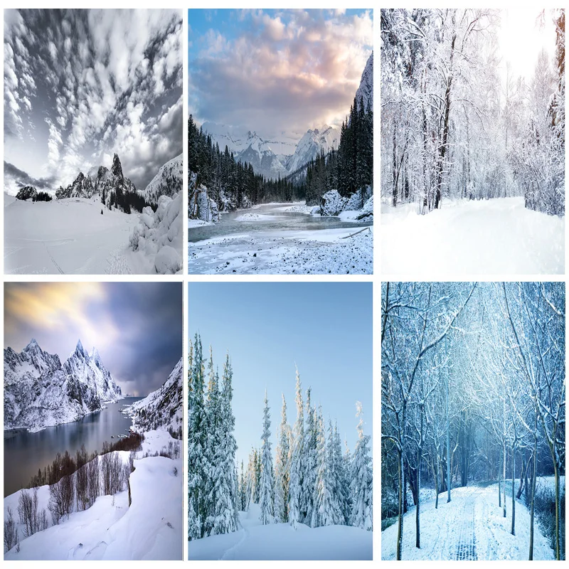 

SHUOZHIKE Art Fabric Photography Backdrops Prop Snow scene Photography Background 2021112XJ-01