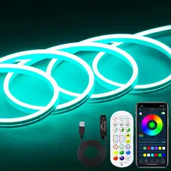 5V USB RGB Neon LED Strip 1M 2M 3M 4M 5M Bluetooth App and Remote Control With RGB Neon Tape for TV Home Neon Decor Lighting