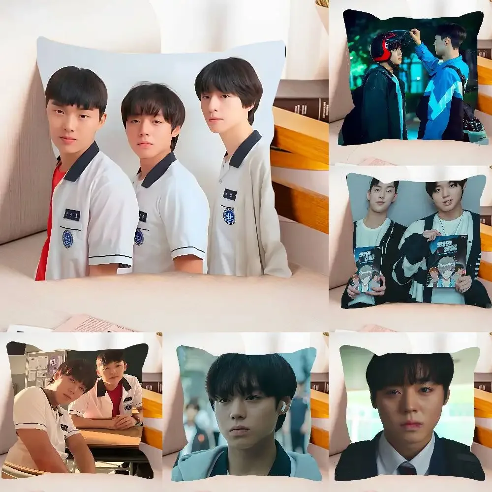 TV W-Weak Hero Class 1 Case Plush Fabric Soft Pillowcase Double Sided Print Cushion Cover Household Gifts