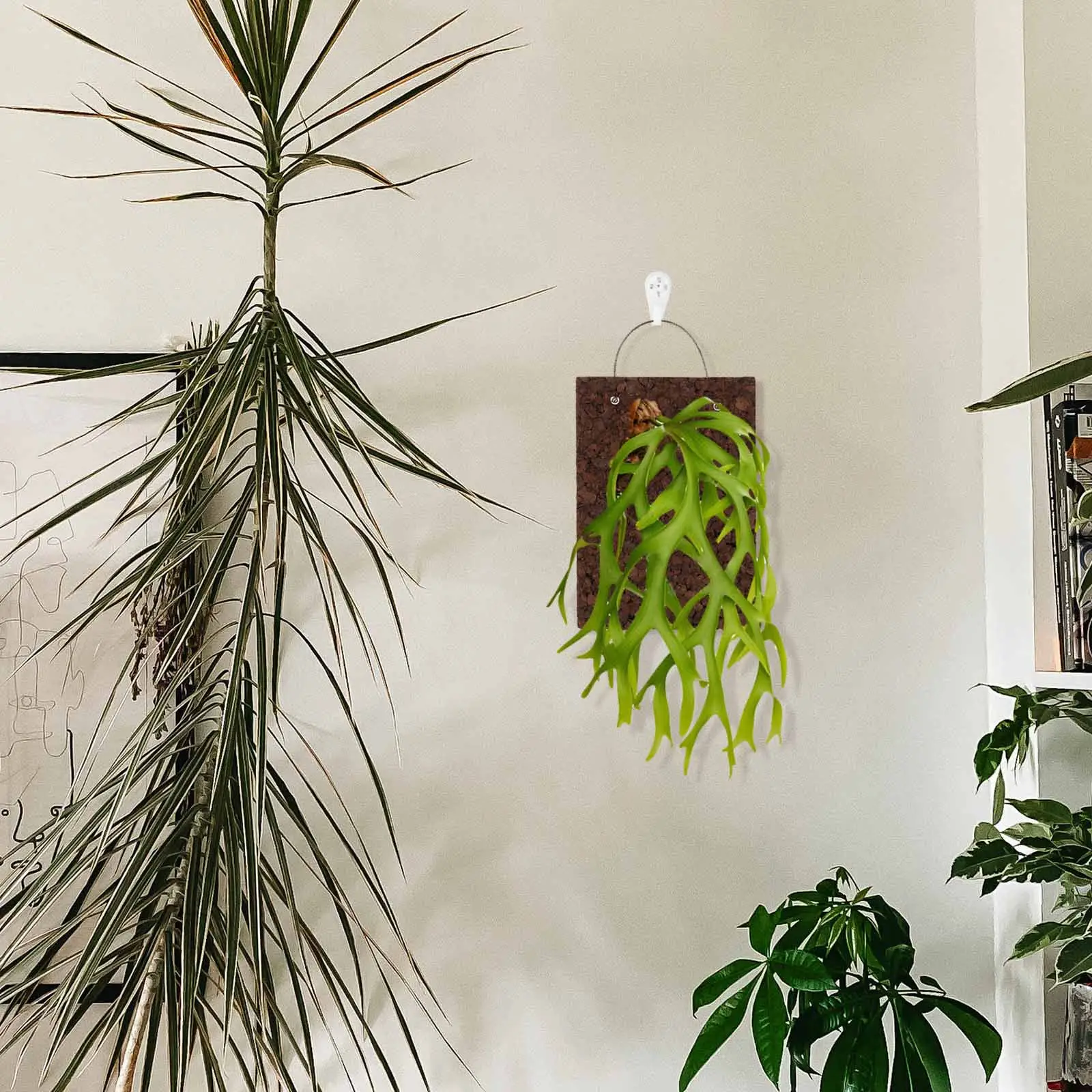 Thickened Carbonized Cork Fern Mounting Board Wall Hanging Planter Rustic Solid Wood Panel for Orchids Succulents Climbing
