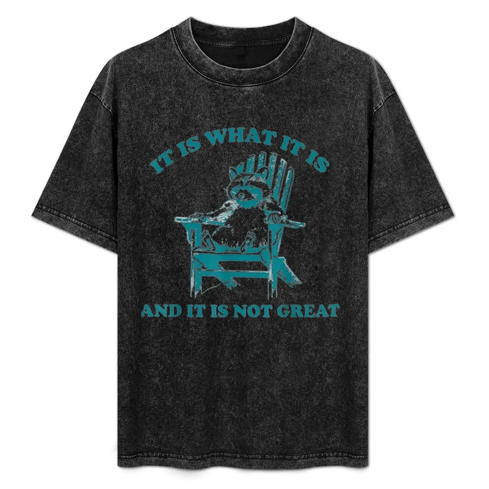 

It Is What It Is And It Is Not Great Funny Raccoon sarcastic T-Shirt Holiday Simple Tee Shirt
