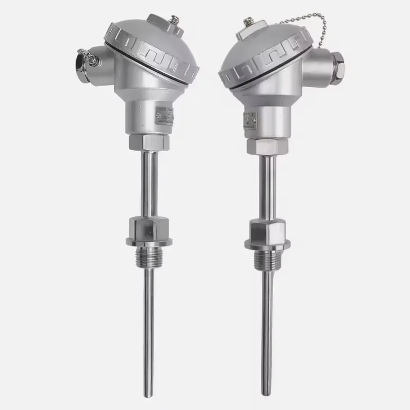 Hank High Precision Stainless Steel Probe Thermocouple PT100 IP65 Waterproof Temperature Sensor RTD with Junction Box /ODM