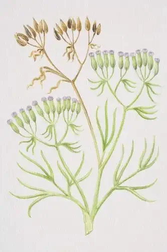 2 шт. металлическая головная шестерня WLtoys A959 стальной дифференциал 38T и шестерня двигателя 17T для электрического багги Vortex 1/18 2 шт. металлическая головная шестерня WLtoys A959 стальной дифференциал 38T и шестерня двигателя 17T для электрического багги Vortex 1/18