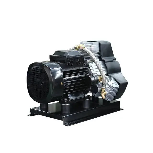 Portable air Compressor High Pressure Oil Free Heavy Duty air Compressor 400LPM Industrial Compressor Used for Electric Vehicle