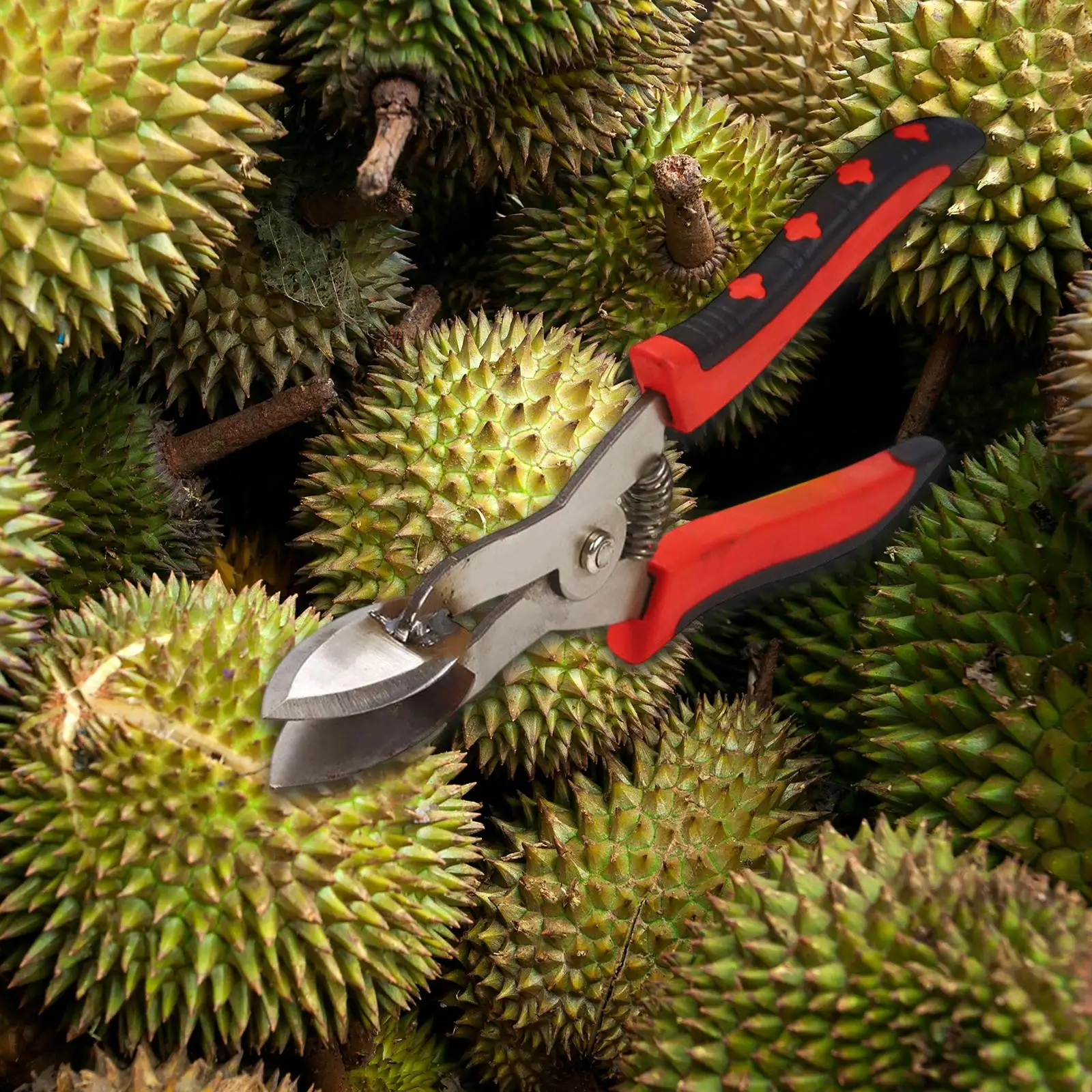 دوريان فتاحة الفاكهة قذيفة كليب كماشة مريح المقشر المشبك دليل دوريان افتتاح أداة قصف جهاز للطبخ المطبخ #2