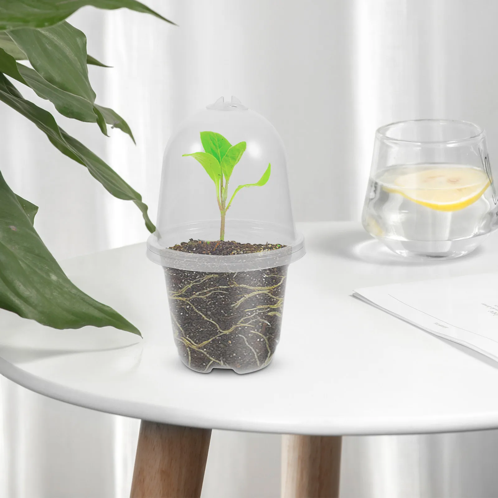 

10 наборов изолированных садовых горшков для рассады с дренажными отверстиями, контейнеры для цветов на балкон, кашпо для суккулентов