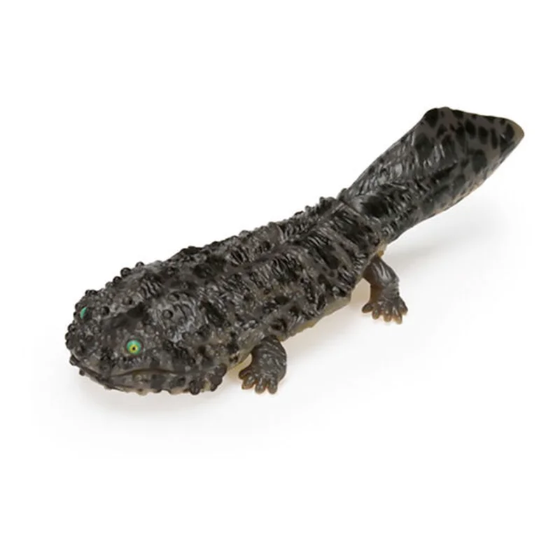 بانداي الأصلي غاشابون السمندر الشكل Axolotl نموذج علم الأحياء تمثال نموذج جمع تزيين لعبة مكتب للبالغين #3