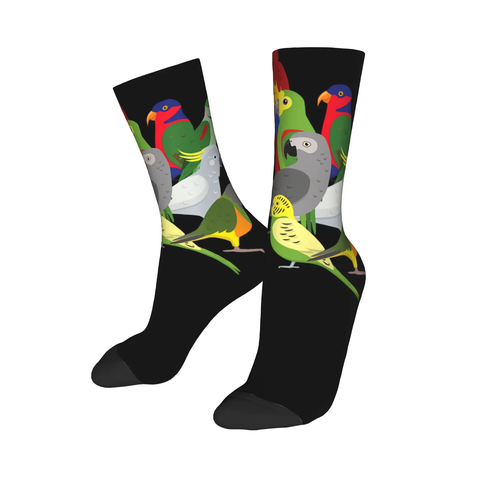 Fashion Parrots Bird Guide Different Parrot Species of The World Pet Basketball Socks  Polyester Middle Tube Socks for Unisex