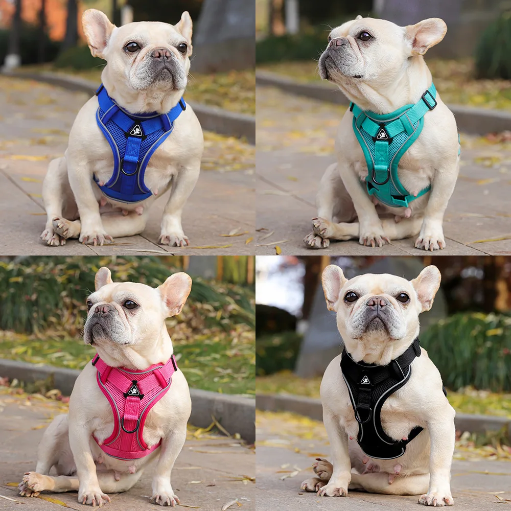 

Dog Harness with Leash Set - Reflective No-Pull Pet Safety Vest Breathable Mesh Dog Harness - Adjustable Reflective Outdoor