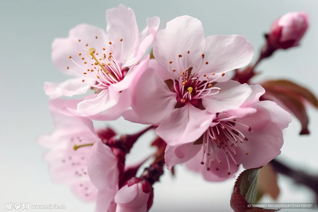 

Комплект из 4 металлических дисков-бидлоков 2,2 дюйма из алюминиевого сплава для радиоуправляемых краулеров TRX4, TRX6, Axial SCX10 III 1/10