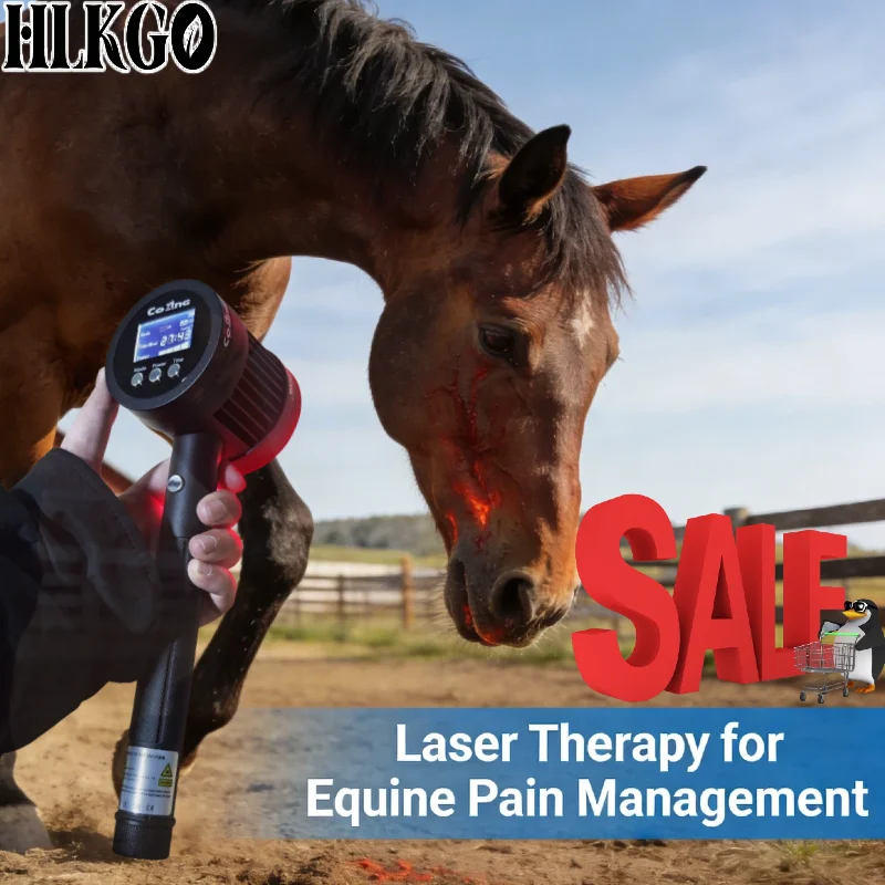 Professional Grade 5W Infrared Cold Laser, 6x808nm 19x650nm for Sports Injury Rehabilitation Knee Pain Ankle Sprain