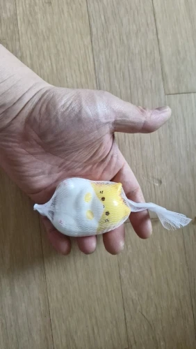 실물 포토 리뷰