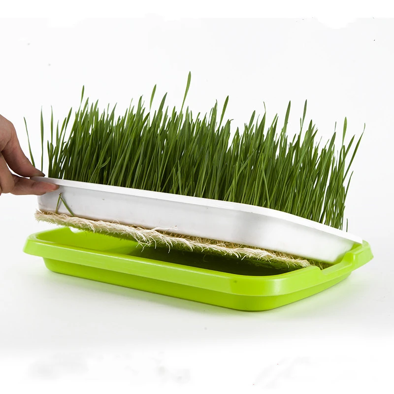Seed Starter Kit, 100 Pcs Nursery Bags 8x10cm with Dense Cell Seedling Tray and Syringe Seed Dispenser, Garden Grow Set