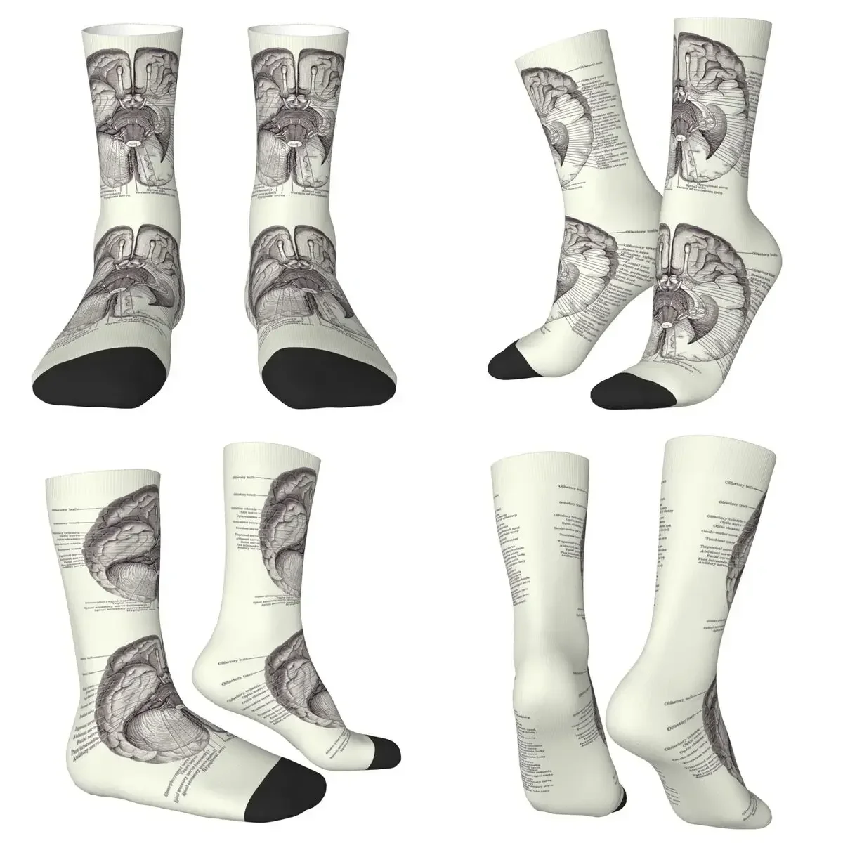 All Seasons Crew Stockings Brain Nervous System Diagram - Vintage Anatomy Socks Harajuku Long Socks for Valentine's Day Gifts