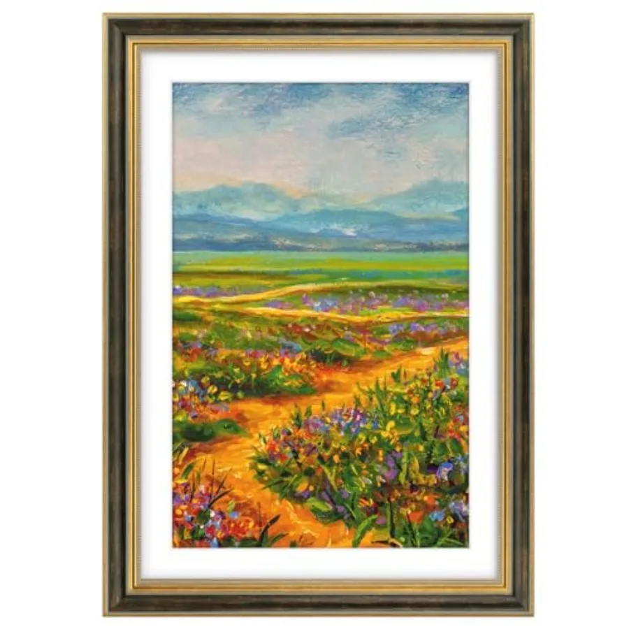 

Ornate Picture Frame with White Mat for 11x17 Photo or Display 13 x 19 Prints without Mat Color Plexiglass Front