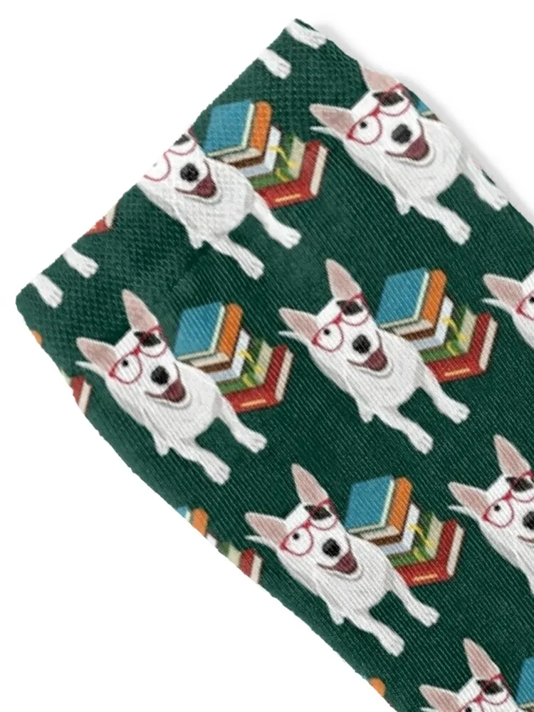 Bull Terrier Socks designer brand set Non-slip Boy Socks Women's