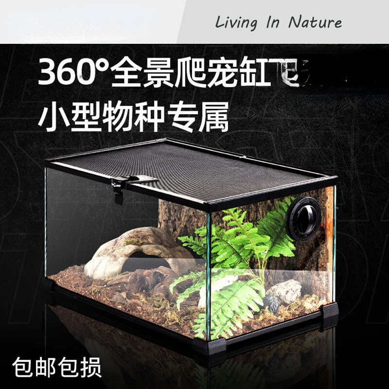 Crawling Pet Tank Maned Lion Palace Watching Snake Spider Horn Beetle Crawling Pet Breeding Box Glass Crawling Tank