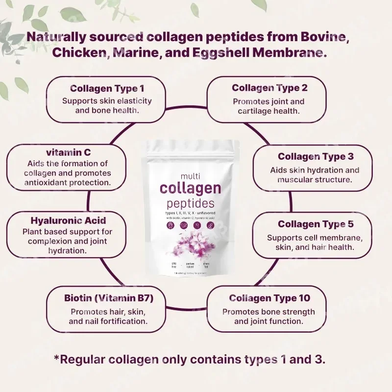 Collagen Peptides Powder Hydrolyzed Multi Collagen with Vitamin C and Biotin Daily Skin Hair Nail Support Nutritional Supplement