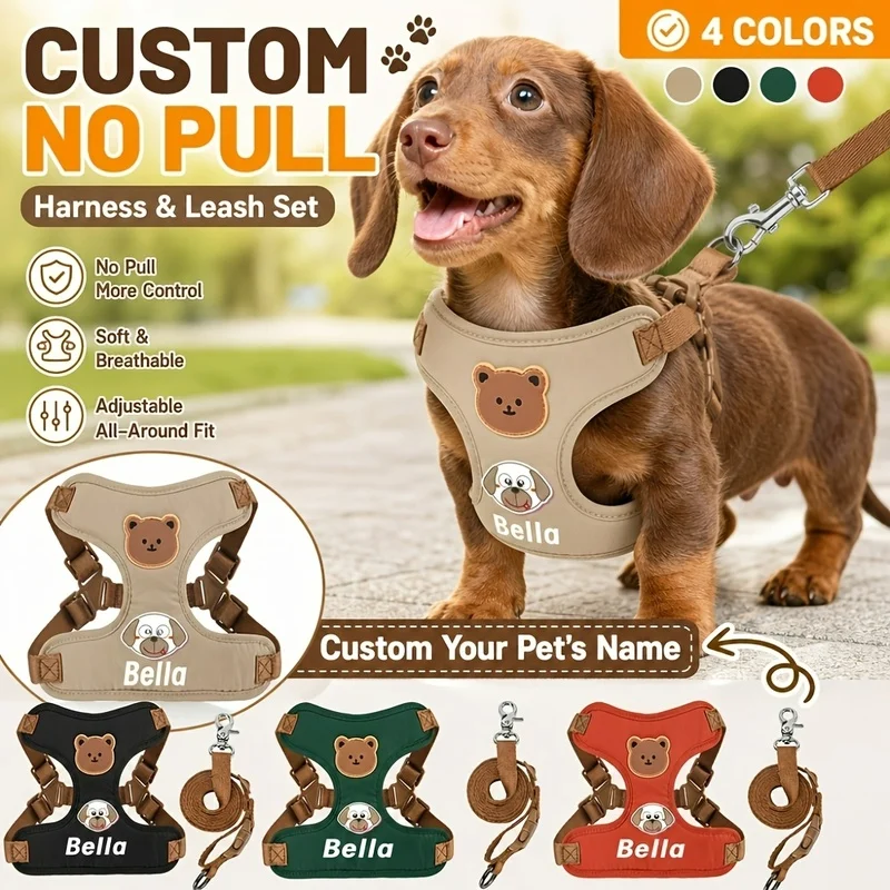 Custom Dog Harness And Leash Set for Small to Medium Breeds, Customizable Pet Name