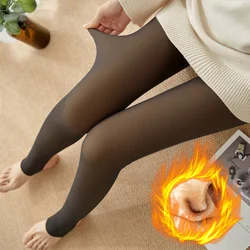 2022  Translucent Wool Pants Sock Winter Stocking Fake Pantyhose Women's Thermal Pants Fleece Lined Warm Legging Tights