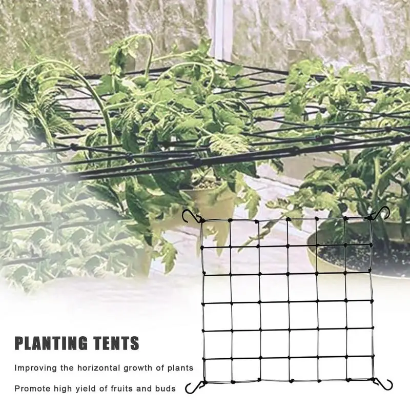 

Heavy Duty Elastic Trellis Netting with Hooks for Grow Tents Plant Support for Hydroponics Stretchable Mesh Net for Vegetables