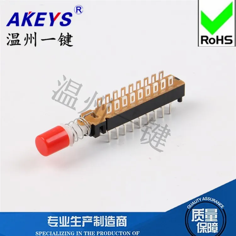 PBS-62 H18 Keys Switch Button Double Row 18 Feet with Lock Connector without Bracket Hole Kan4h