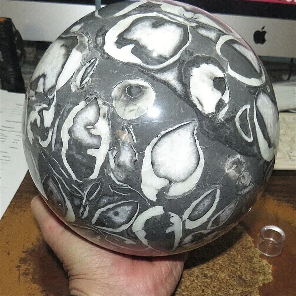 Natural Shell Stone Spheres, Energy Gemstones, Spiritual Healing, Home And Office Decorations, Gifts, Demagnetization, Feng Shui
