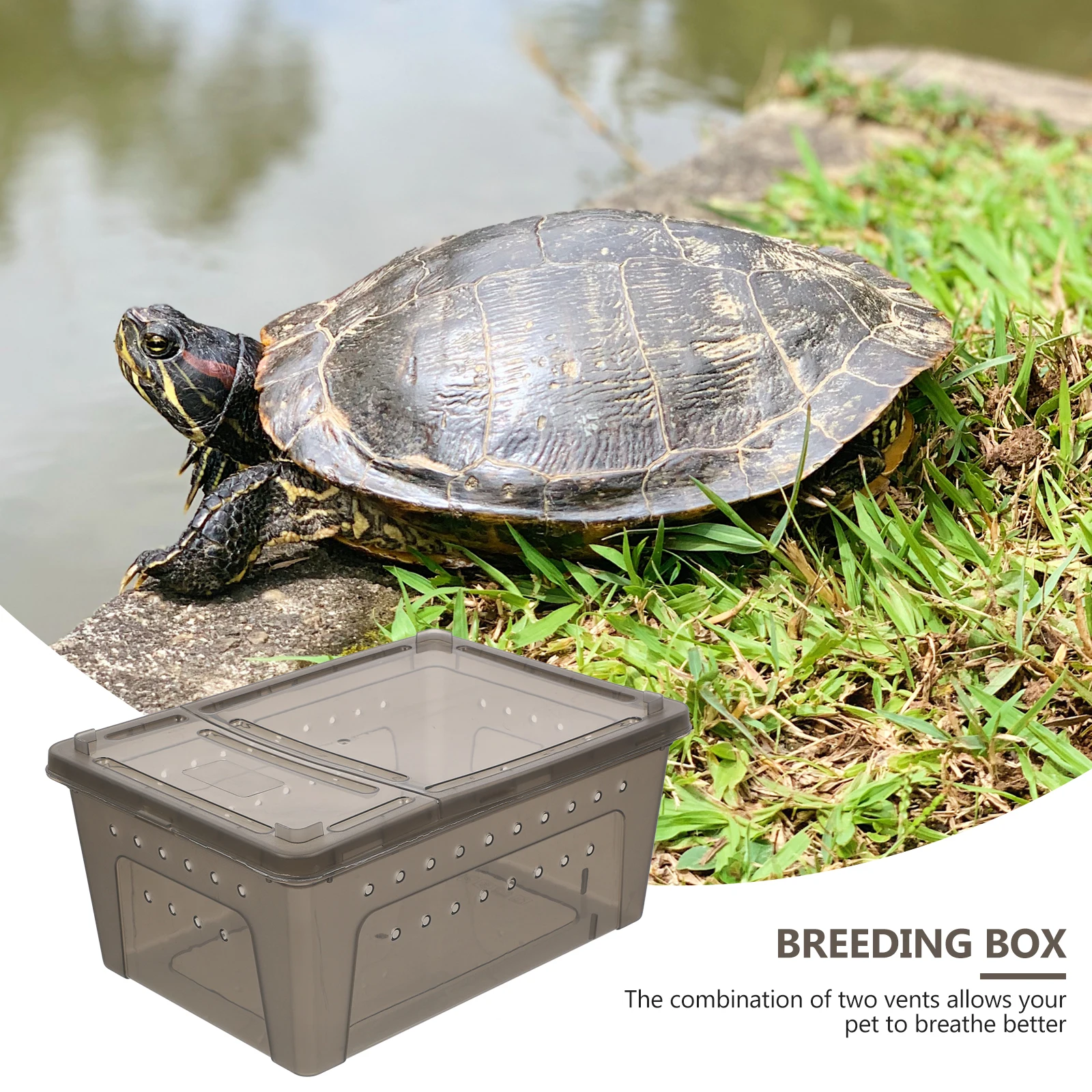 

Pet Reptile Terrarium Box Plastic Lizard Bearded Dragon Cage Durable Ventilated Breeding Container Safety Lock Reptile Case Pet