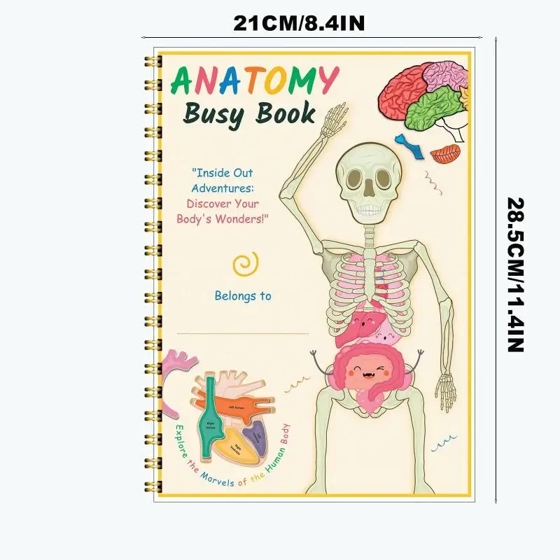 Creative Human Anatomy Busy Book Children's Fun Learning Picture Album With Illustration Learning Planner