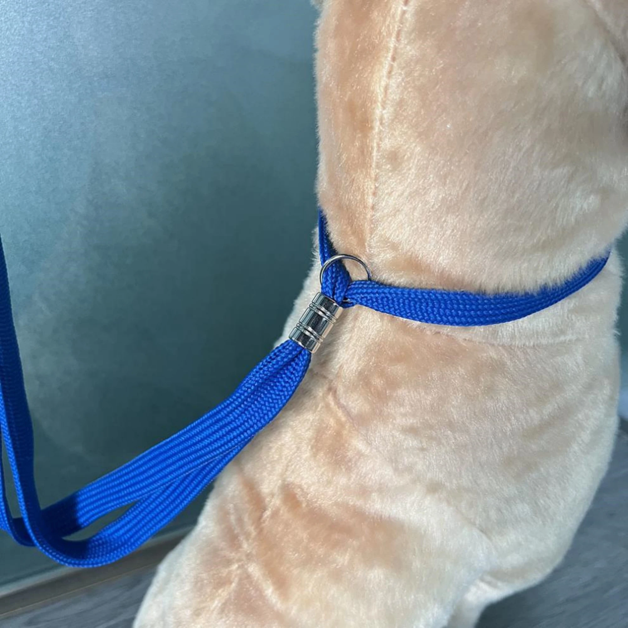 Pet Grooming Loops Dog Bathing Fixer Traction Rope Pet Cat Noose Dog Beauty Table Sling Adjustable Restraint Suction Cup Hook