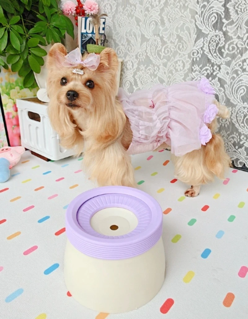 Dopamine Style Floating Pet Water Bowl, Suspended No-Spill Water Dispenser, Non-Wet Mouth Drinking Bowl for Small Dogs