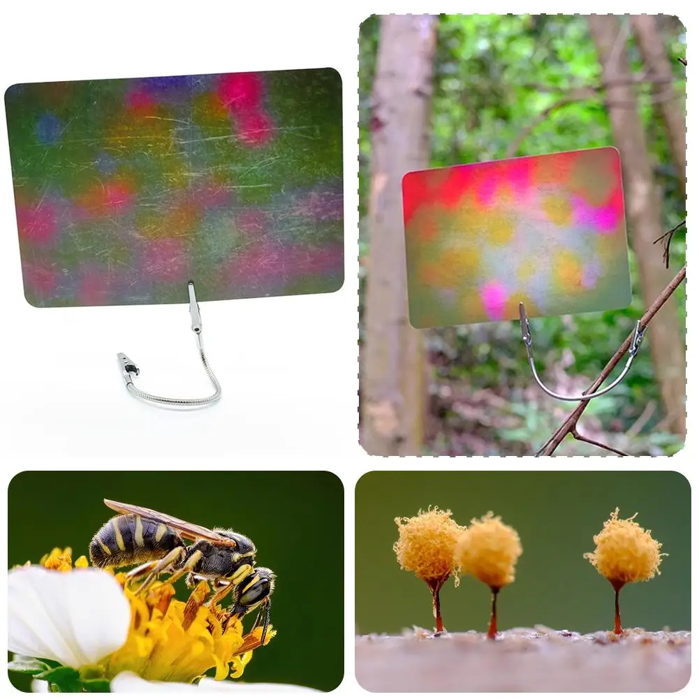 Macro Photography Background Card With Multiple Colors, Light Blurred Photography Absorbing Materials Ecological Background R3G1