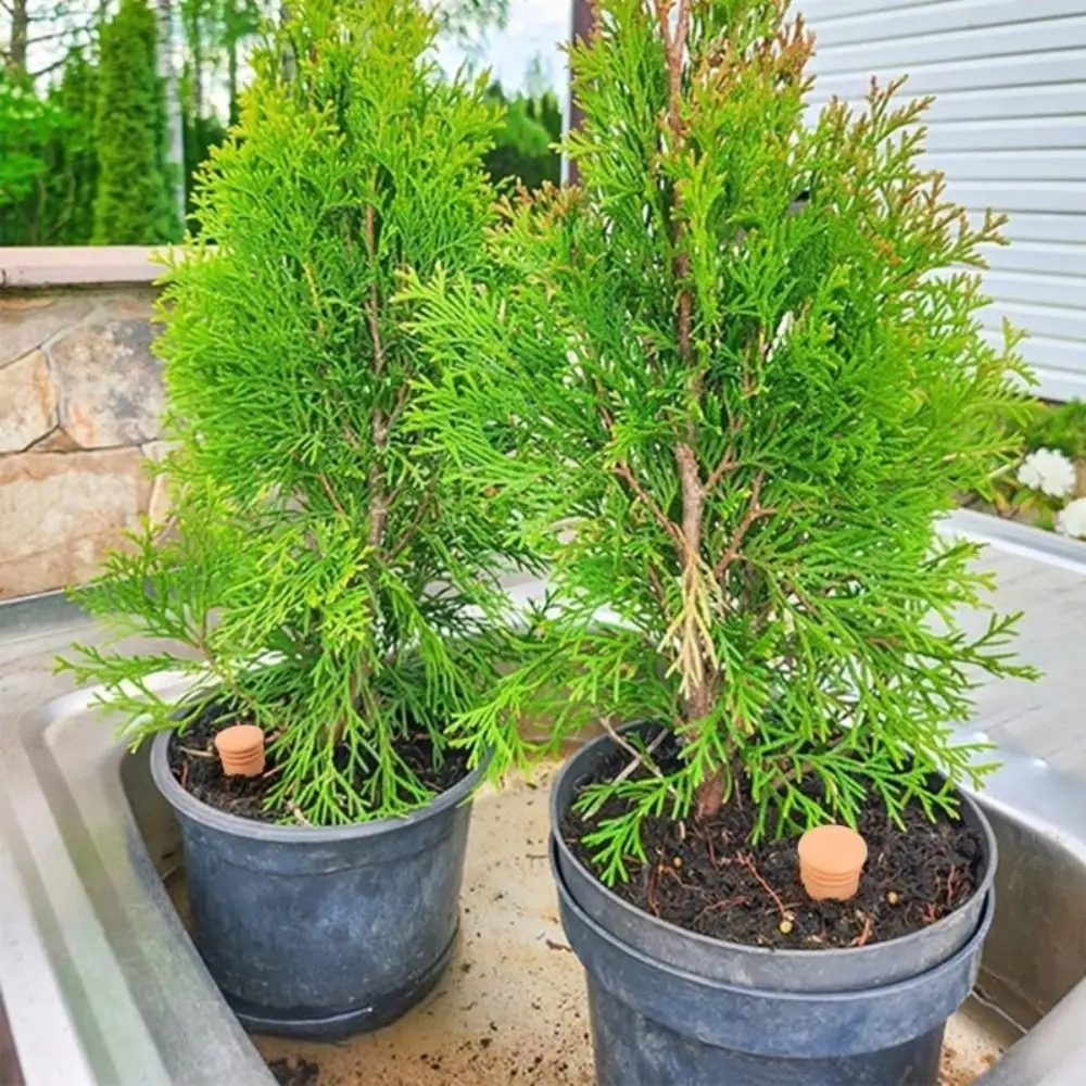4Pcs Terracotta Material Automatic Self Watering Spikes Consistent Supply Versatile Usage Automatic Irrigation System
