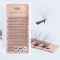 Goddess Premade Volume Fans 5D 6D 10D 12D 16D 20D 24D Individual Lashes Pre Made Russian Volume Fan Eyelash Extension Faux Mink