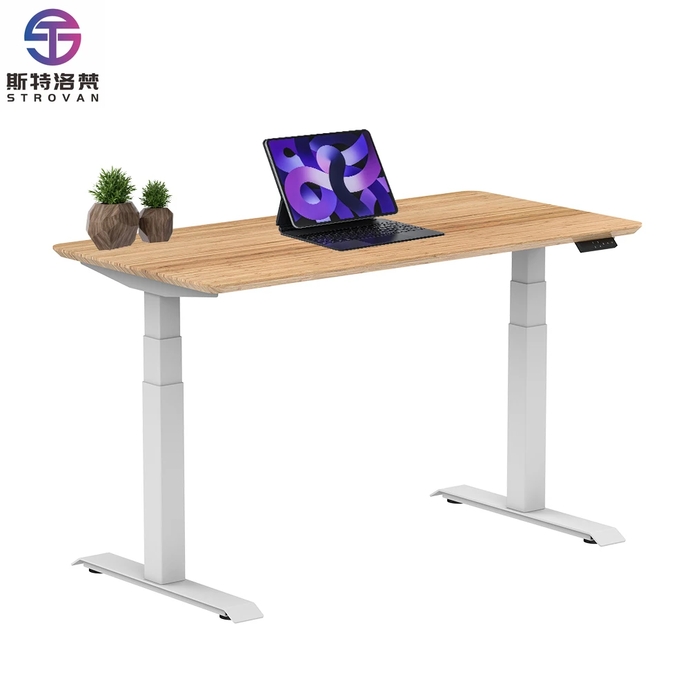 

High Quality Ergonomic Modern Office Computer Dual Motor Standing Desk Electric Height Adjustable Desk